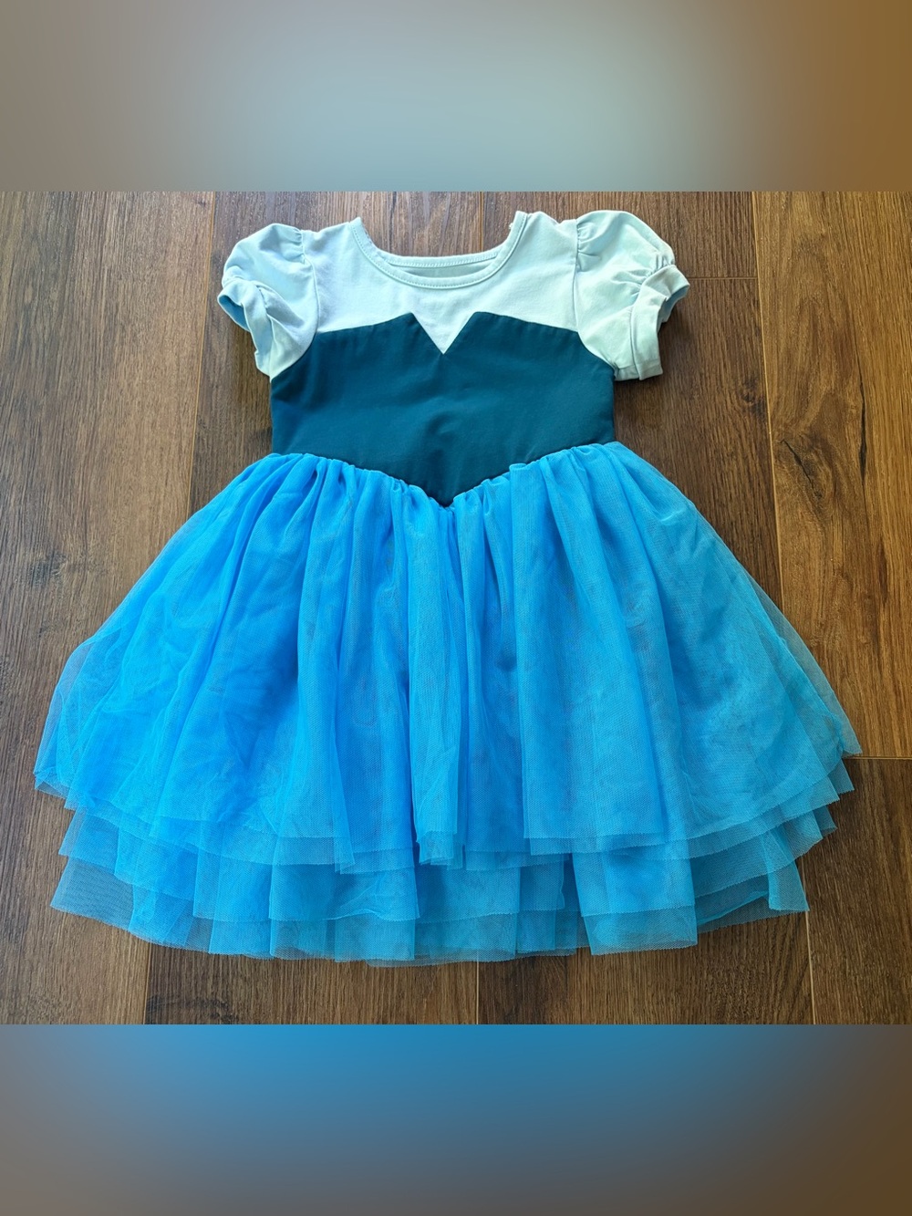 Taylor Joelle Little Mermaid-Inspired Blue Layered Tulle Dress